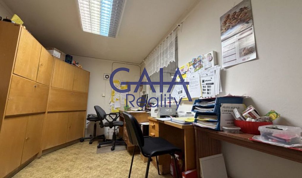 Prodej obchodních prostor 481 m², Jemnice – náhled fotky 6
