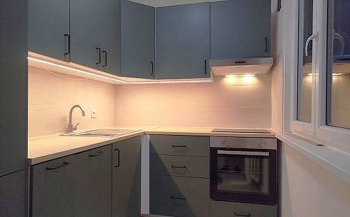 Pronájem bytu 2+1 55 m², Pionýrů, Most