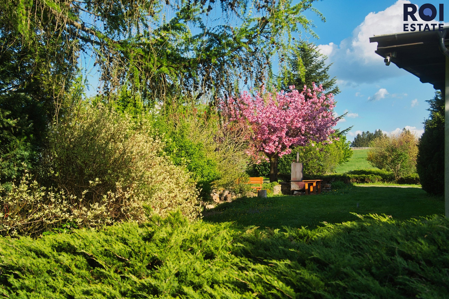 Prodej chaty/chalupy 575 m² s pozemkem 9 674 m² – fotografie 3