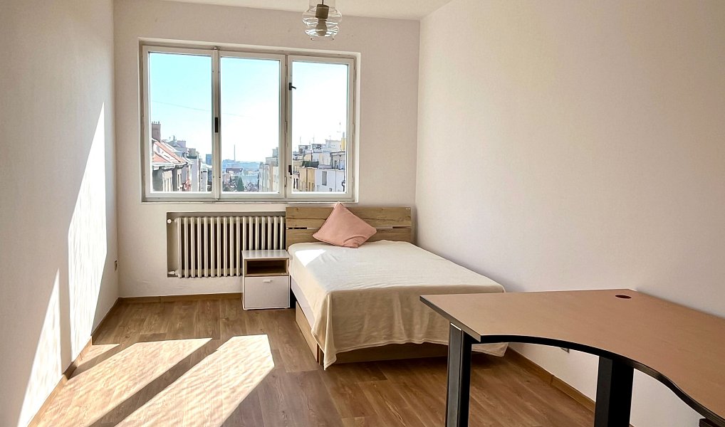 Pronájem bytu 5+kk 150 m², Praha – náhled fotky 12