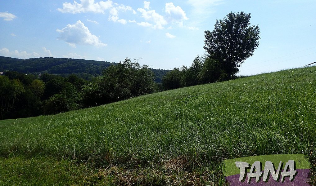 Prodej louky 49 051 m², Hodkovice nad Mohelkou – náhled fotky 7