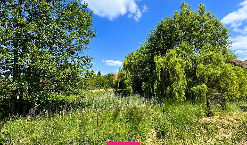 Prodej stavebního pozemku 1 590 m², Nemotice – náhled fotky 9