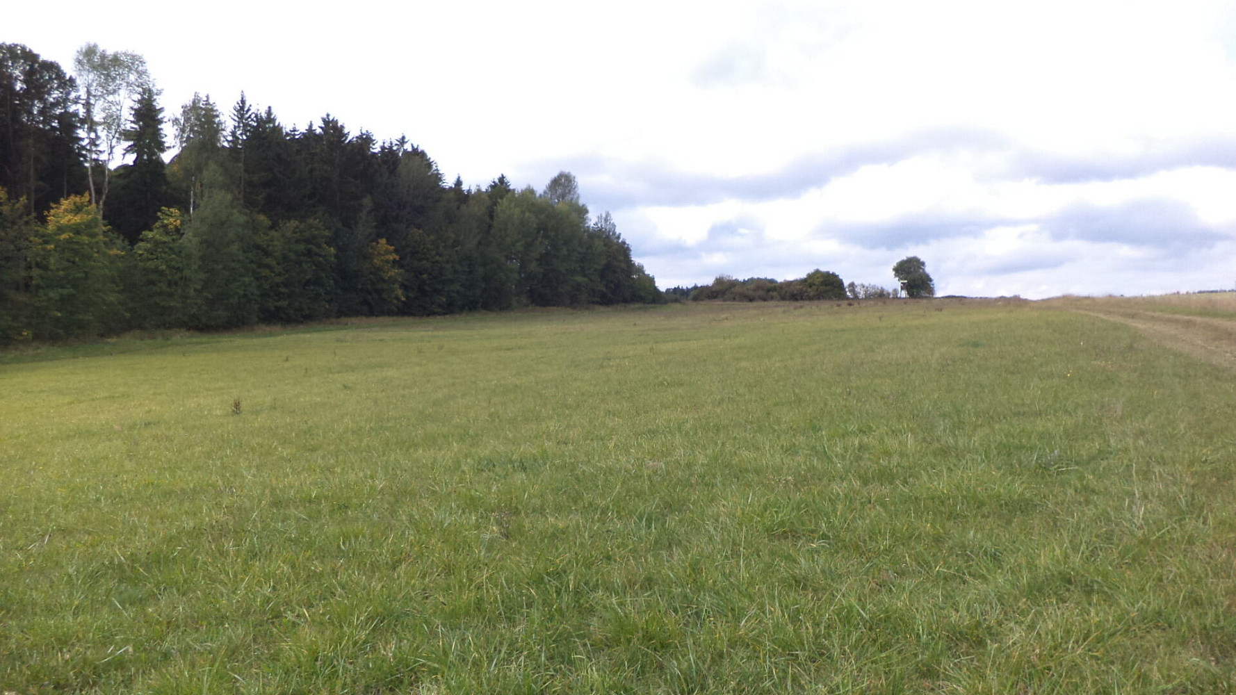 Prodej pole 5 912 m²