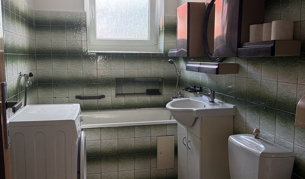 Pronájem bytu 2+1 49 m², Velká Hleďsebe – náhled fotky 8