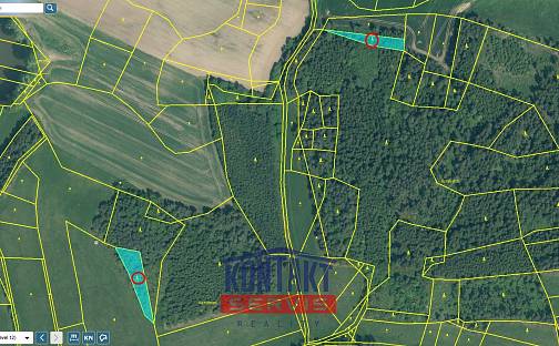 Prodej lesa 2 819 m², Čepřovice, okres Strakonice