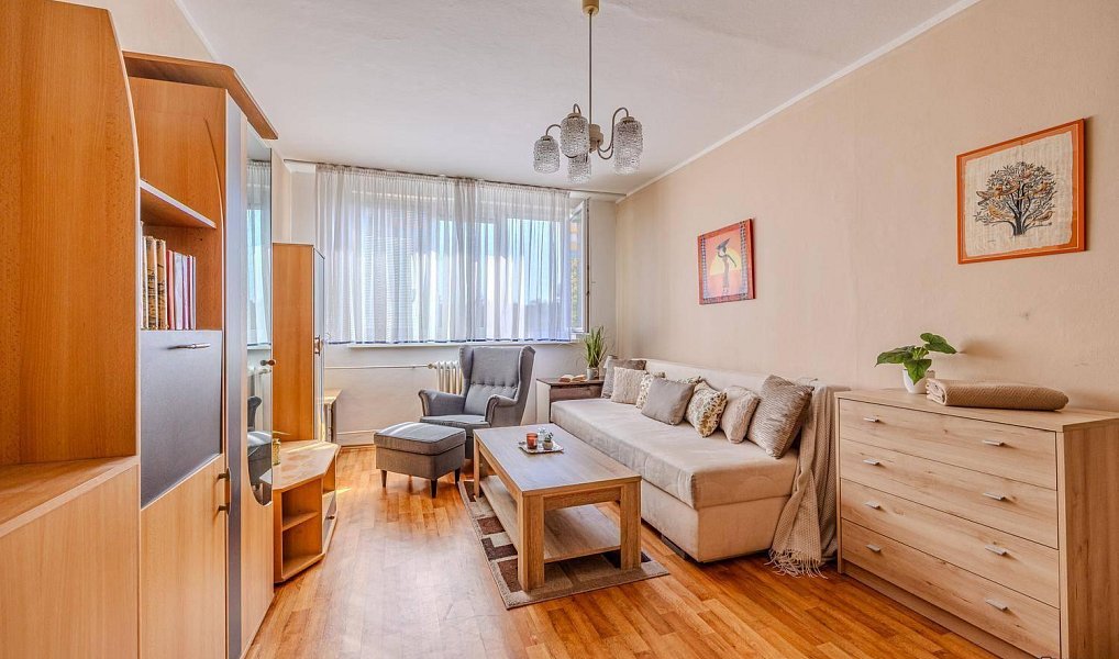 Pronájem bytu 1+1 37 m², Ostrava – fotka 1 z 18