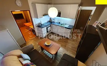 Pronájem bytu 1+1 38 m², Švestková, Ústí nad Labem - Severní Terasa