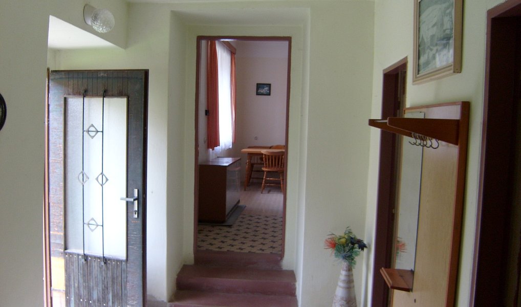 Prodej domu 100 m² s pozemkem 6 962 m², Jenišovice – náhled fotky 6