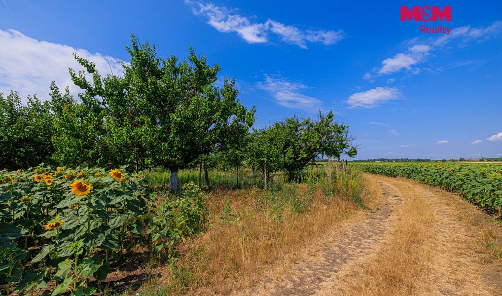 Prodej pole 14 490 m², Zaječí – náhled fotky 2
