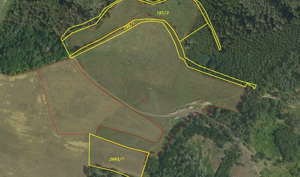 Prodej pozemku 25 345 m², Letovice – náhled fotky 5