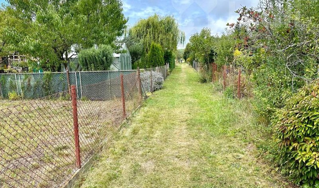 Prodej zahrady 298 m², Pardubice – náhled fotky 11