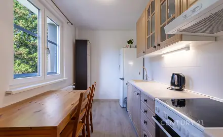 Pronájem bytu 1+1 38 m²
