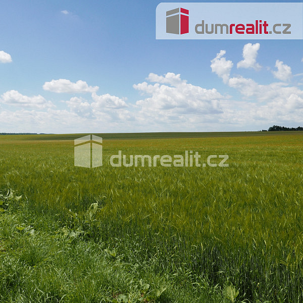 Prodej pole 11 679 m²