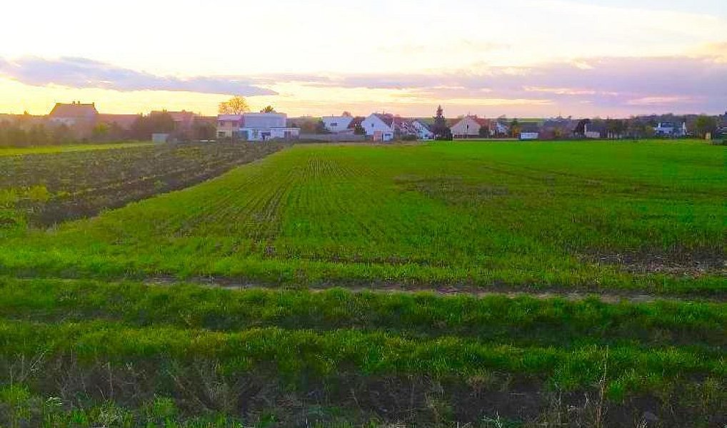 Prodej pole 1 458 m², Kobylnice – náhled fotky 6