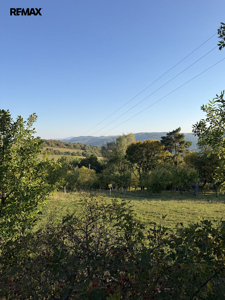 Fotka 9 z 13