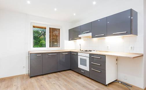 Pronájem bytu 2+1 46 m², Horní, Ostrava - Hrabůvka