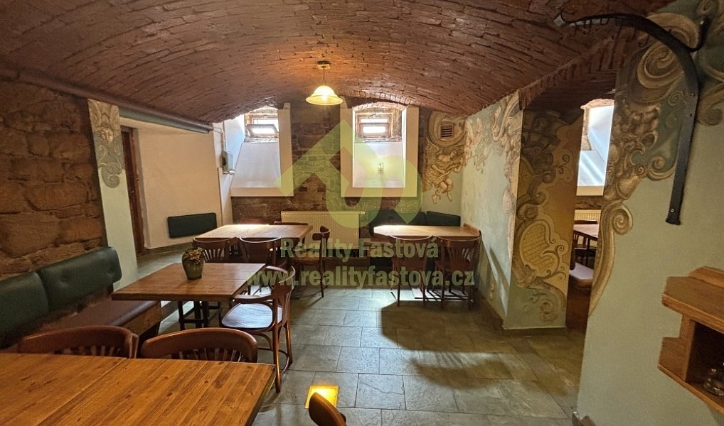 Prodej domu 776 m² s pozemkem 192 m², Plzeň – náhled fotky 26