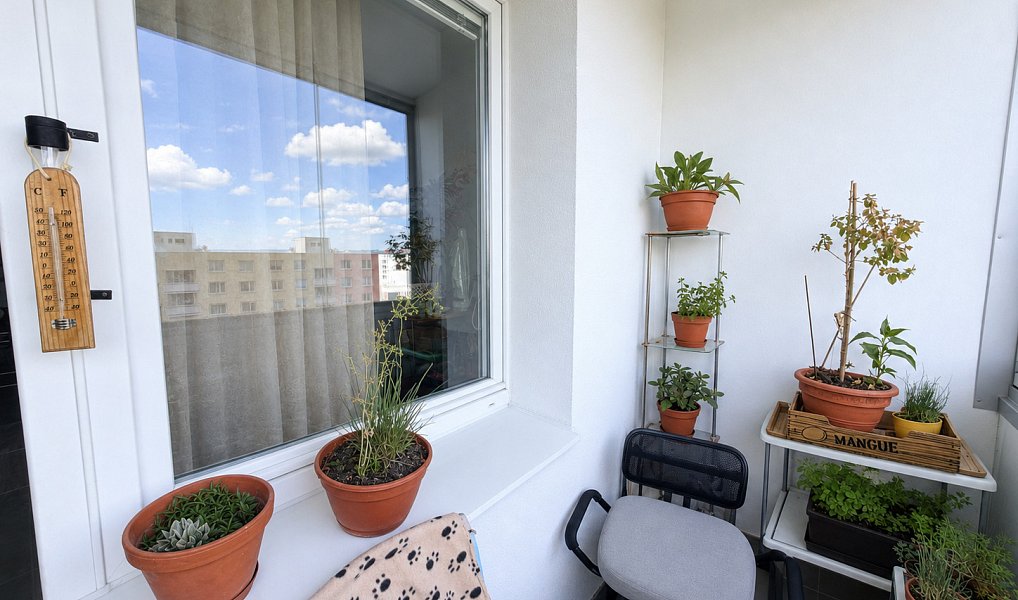 Prodej bytu 1+1 45 m², Brno – náhled fotky 15