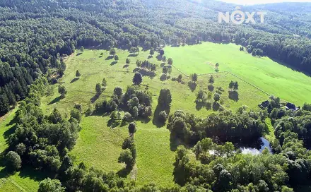 Prodej louky 68 906 m², Hora Svaté Kateřiny
