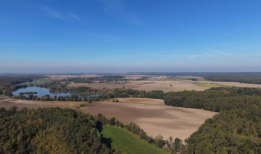 Prodej pole 99 492 m², Rokytno – náhled fotky 11