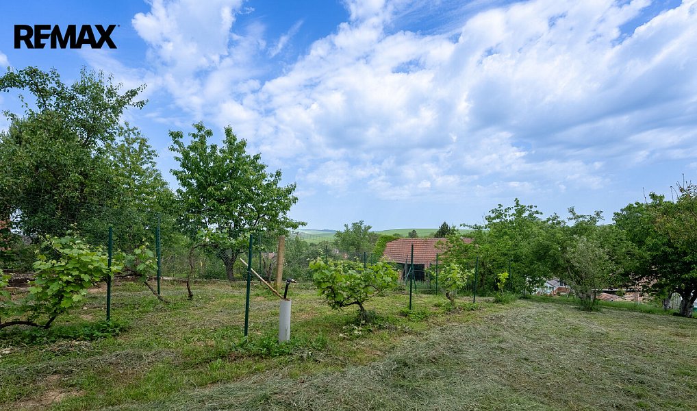 Prodej stavebního pozemku 908 m², Bučovice – náhled fotky 4