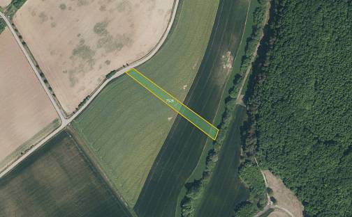 Prodej pole 5 984 m², Lovčice, okres Hodonín