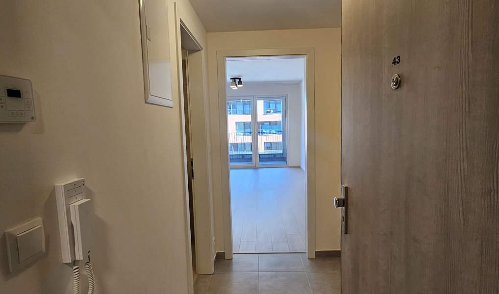Pronájem bytu 1+kk 32 m², Praha – náhled fotky 6