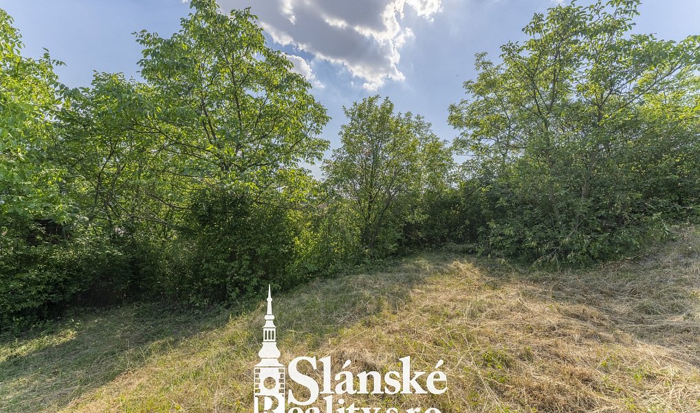 Prodej domu 120 m² s pozemkem 839 m², Vraný – náhled fotky 27
