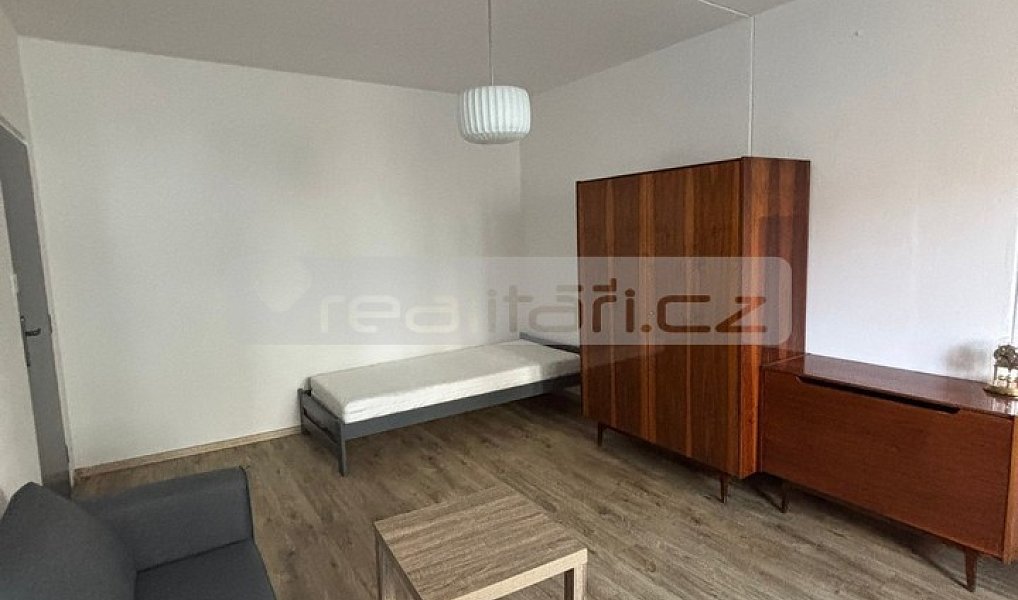 Pronájem bytu 2+1 22 m², Plzeň – náhled fotky 2
