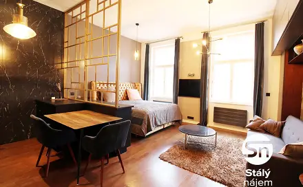 Pronájem bytu 1+kk 41 m², Mánesova, Praha 2 - Vinohrady