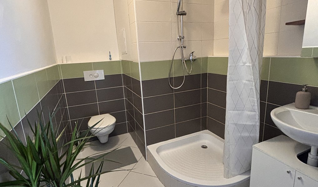 Pronájem bytu 2+kk 37 m², Ostrava – náhled fotky 12