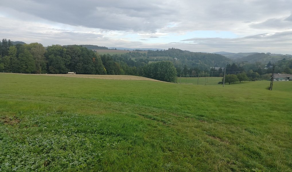Prodej louky 15 200 m², Nekoř – náhled fotky 2