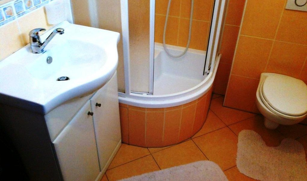 Prodej domu 1 800 m² s pozemkem 700 m², Šumperk – náhled fotky 3
