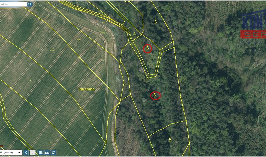 Prodej lesa 23 812 m², Bečice – náhled fotky 2