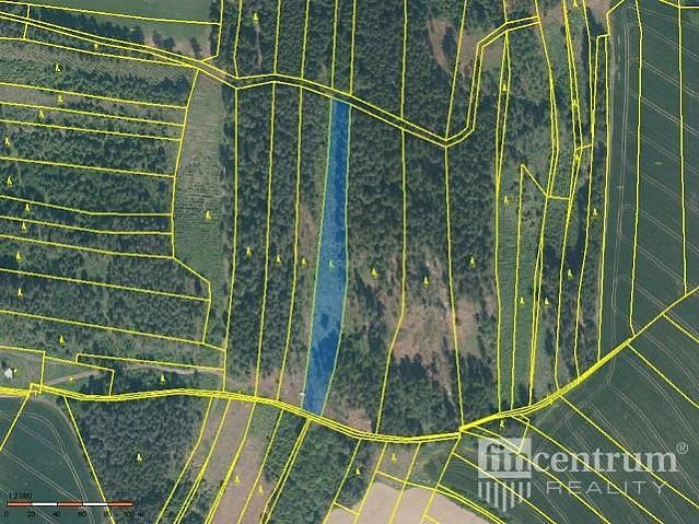 Prodej lesa 28 936 m²