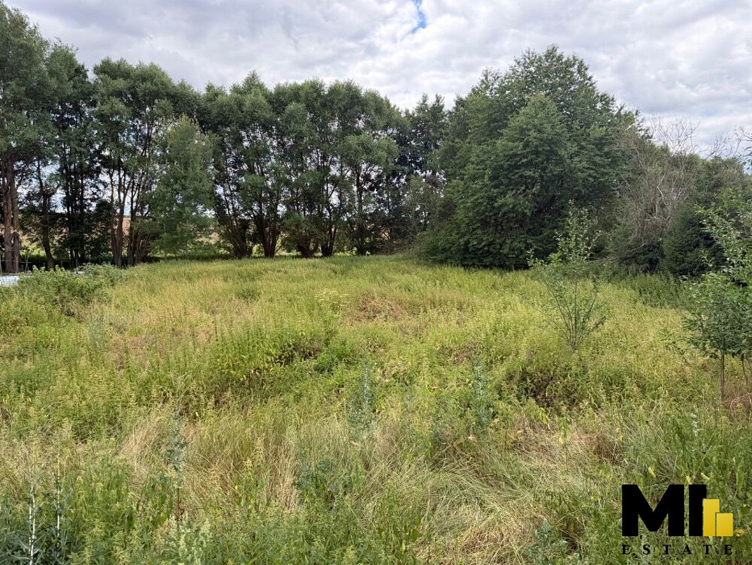 Prodej louky 1 500 m²