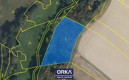 Prodej lesa 8 854 m², Otinoves, okres Prostějov