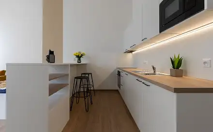 Pronájem bytu 1+kk 46 m²