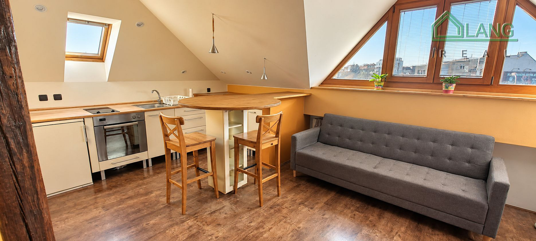 Pronájem bytu 1+kk 50 m² – fotografie 2