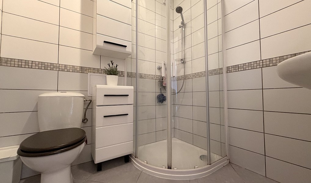 Pronájem bytu 3+kk 78 m², Plzeň – náhled fotky 6