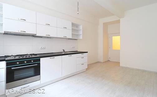 Pronájem bytu 1+1 40 m², Charlese de Gaulla, Praha 6 - Bubeneč