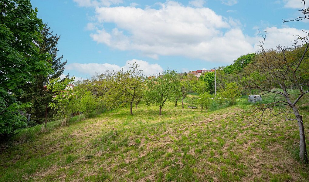 Prodej zahrady 1 052 m², Pozořice – náhled fotky 7