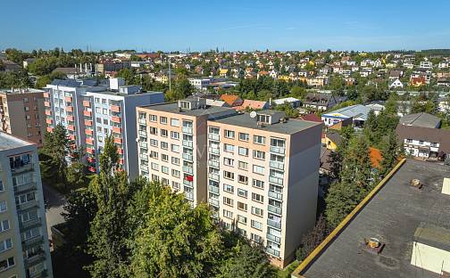 Prodej bytu 2+kk 43 m², Nová Pražská, Benešov