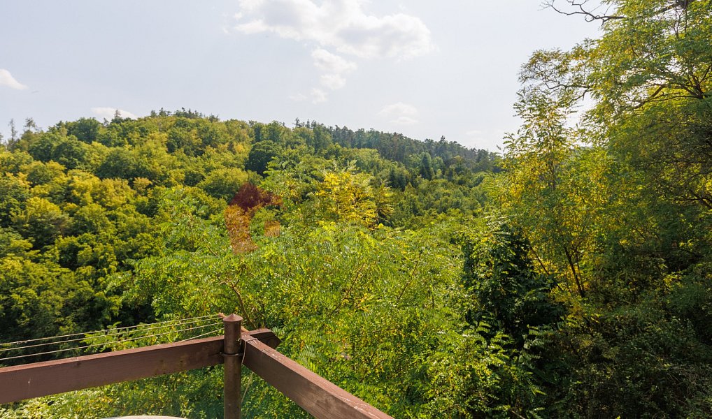 Prodej chaty/chalupy 60 m², Hvozdnice – náhled fotky 16