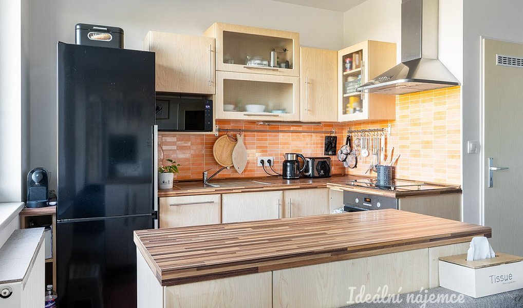 Pronájem bytu 2+kk 56 m², Praha – náhled fotky 5