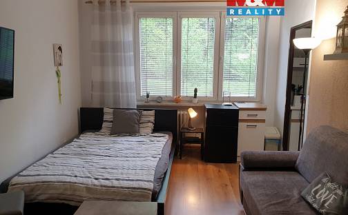 Pronájem bytu 1+kk 22 m², Palackého, Třinec - Lyžbice, okres Frýdek-Místek