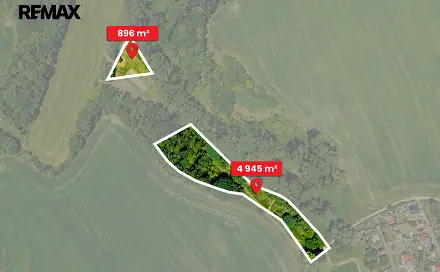 Prodej lesa 5 841 m², Skršín, okres Most