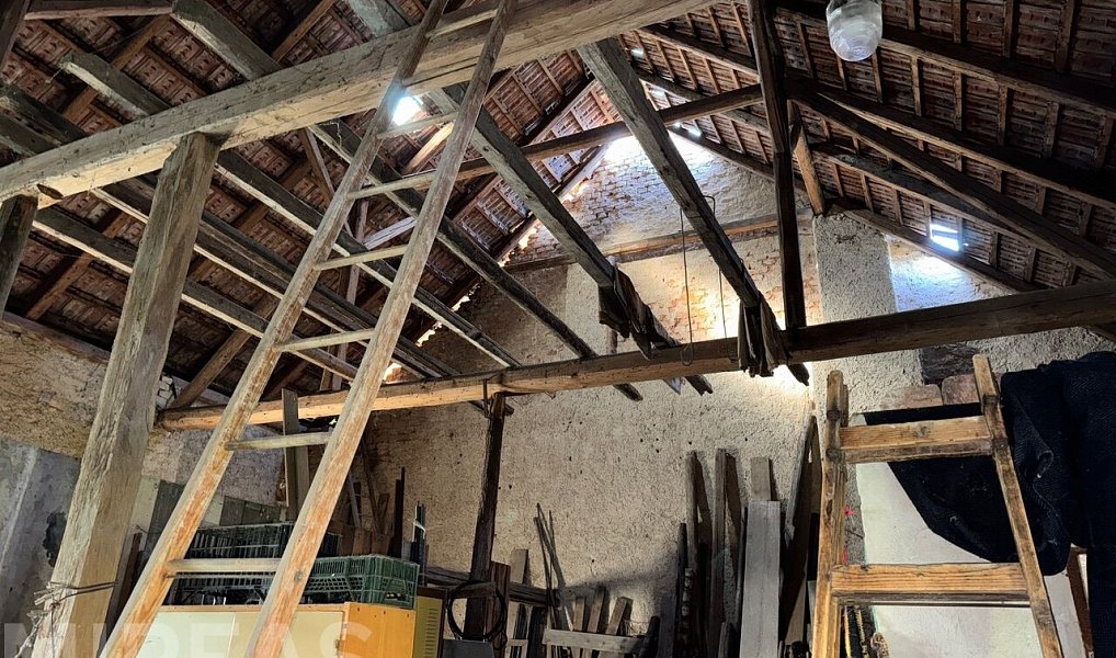 Prodej domu 70 m² s pozemkem 2 388 m², Záhornice – náhled fotky 15