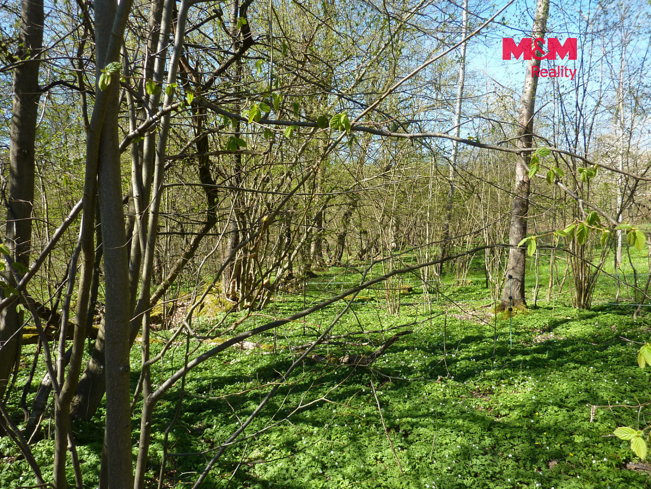 Prodej stavebního pozemku 1 453 m² – fotografie 3