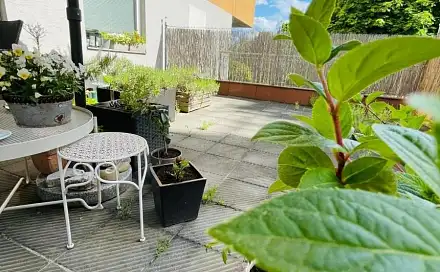 Prodej bytu 1+kk 26 m²
